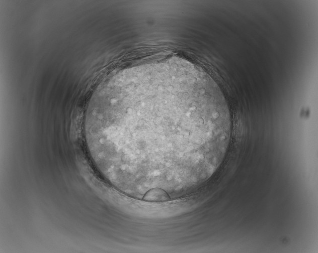 X0000114560030200911301259