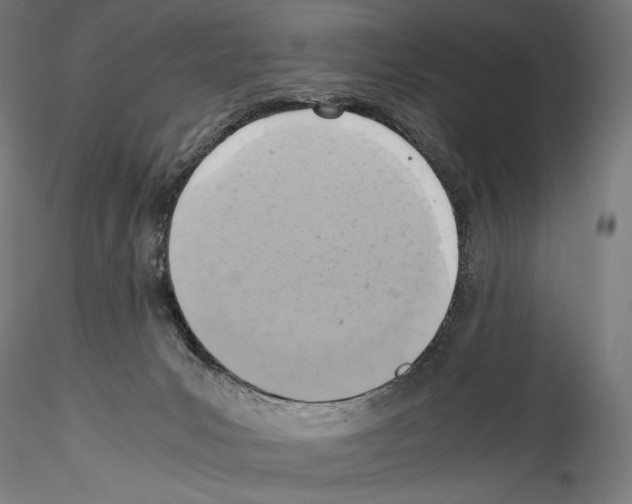 X0000114560031200911301259