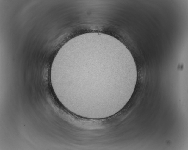 X0000114560032200911301259