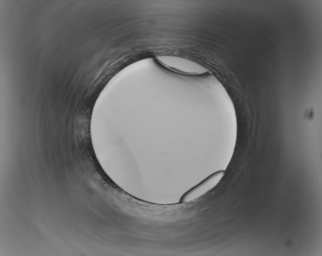 X0000114560035200911301259
