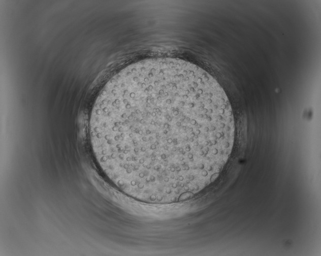 X0000114560038200911301259