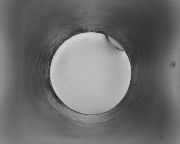 X0000114560039200911301259