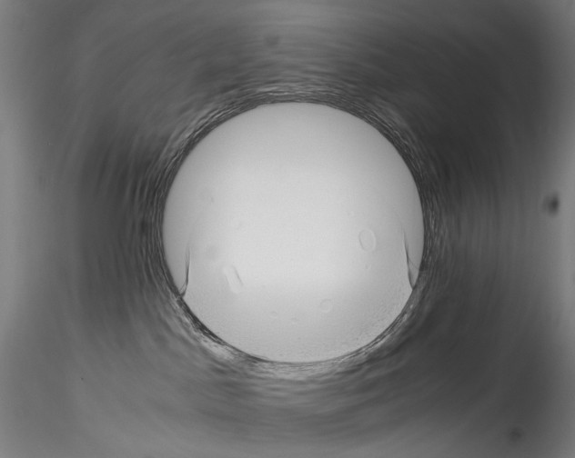 X0000114560045200911301259