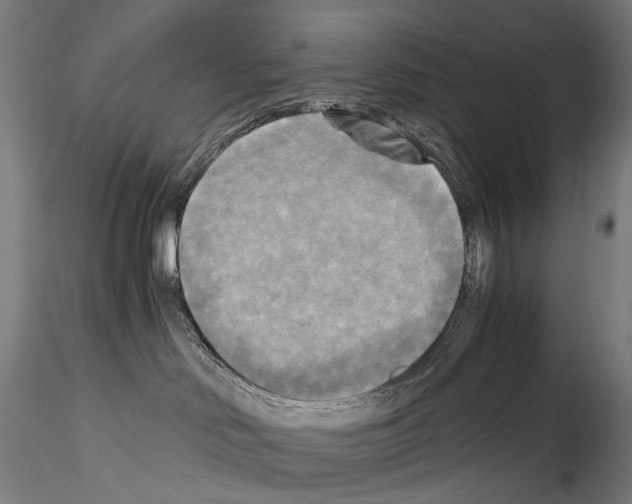 X0000114560046200911301258