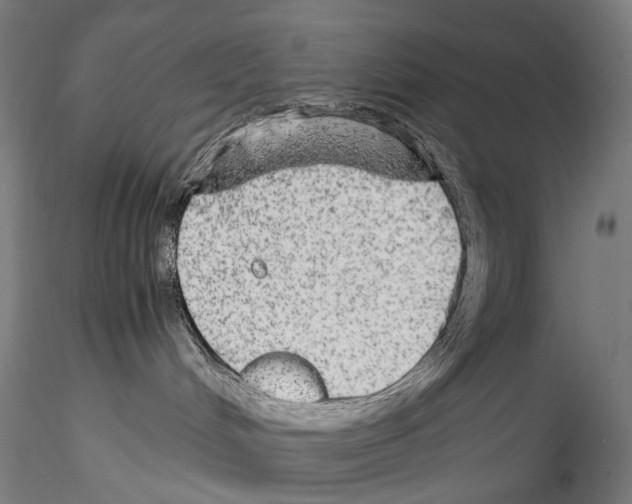 X0000114560048200911301258