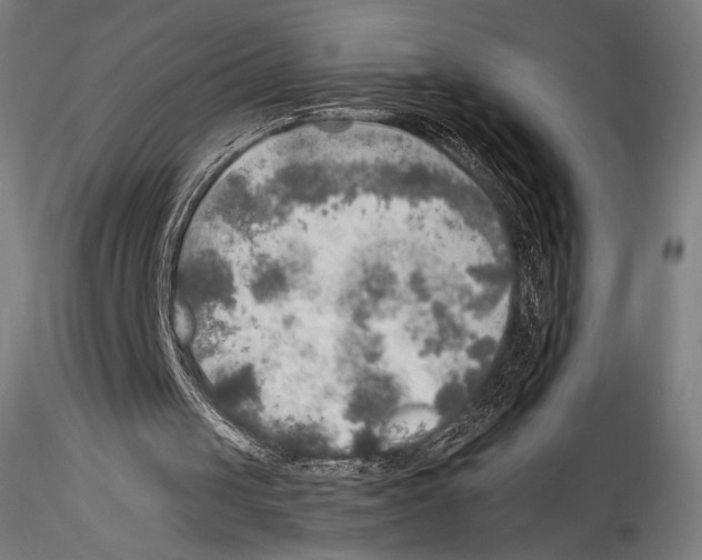 X0000114560049200911301258