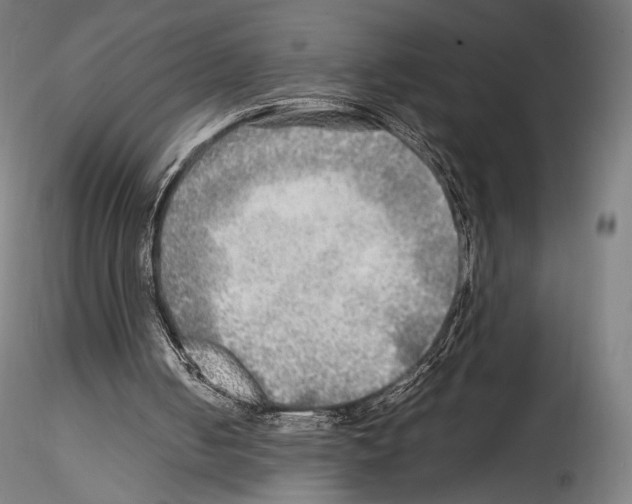 X0000114560050200911301258