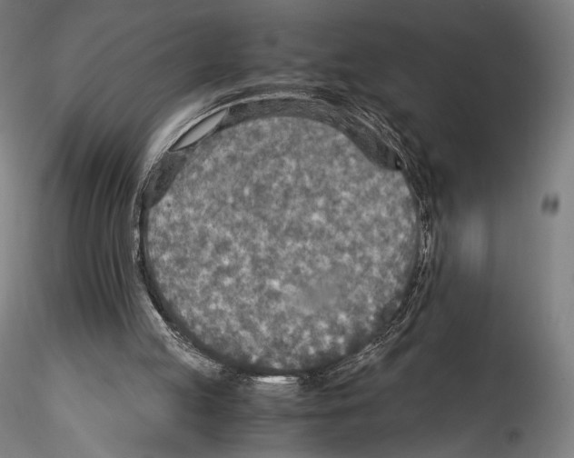 X0000114560053200911301258