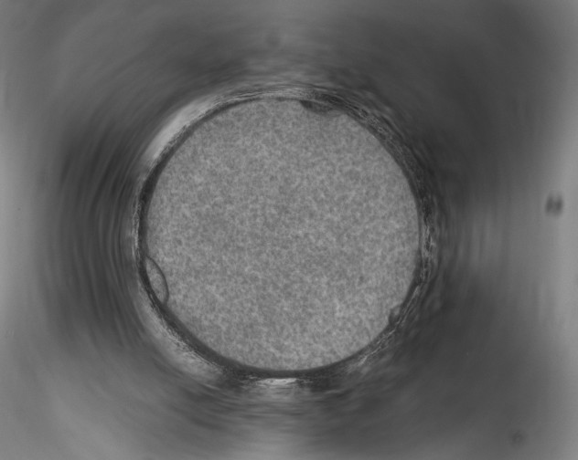 X0000114560054200911301258