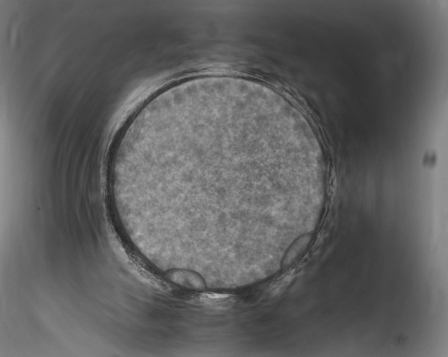 X0000114560055200911301258