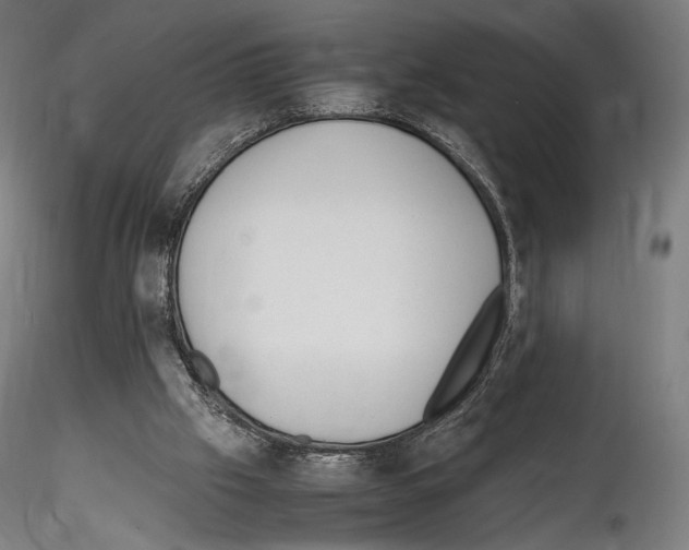 X0000114560057200911301258