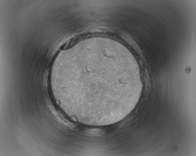 X0000114560058200911301258