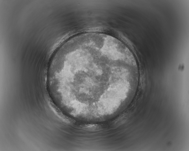 X0000114560059200911301258