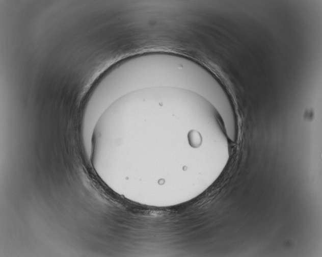 X0000114560060200911301258