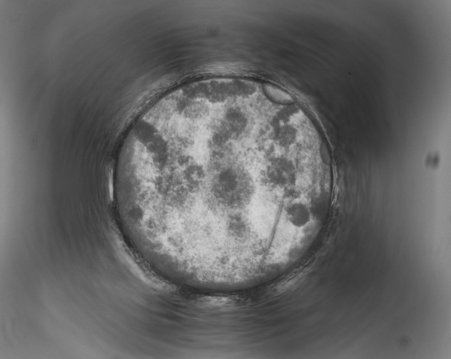 X0000114560061200911301258