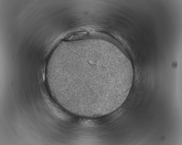 X0000114560062200911301258