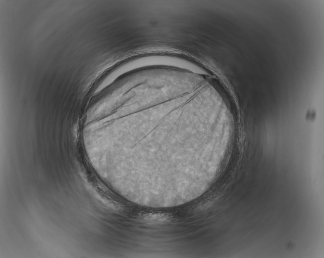 X0000114560063200911301258