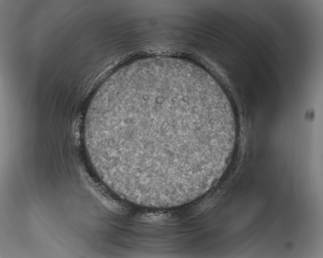 X0000114560065200911301258