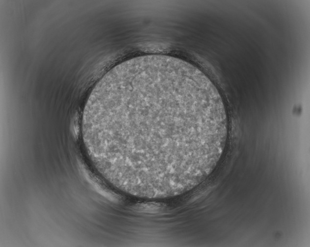 X0000114560069200911301258