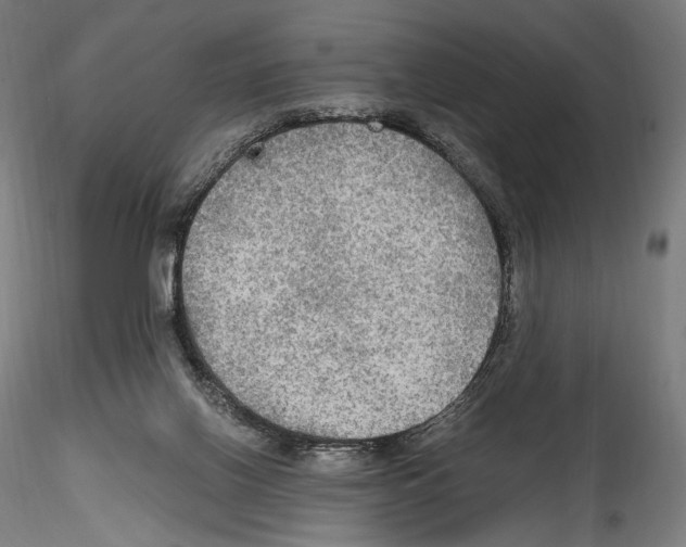X0000114560070200911301258