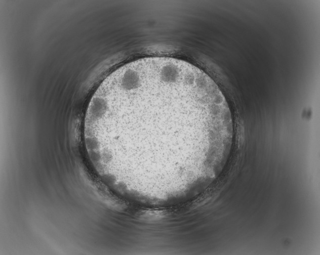 X0000114560071200911301258
