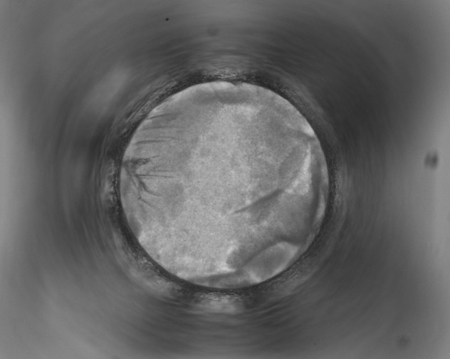 X0000114560073200911301258