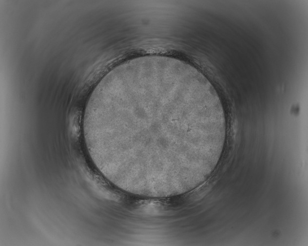 X0000114560074200911301258