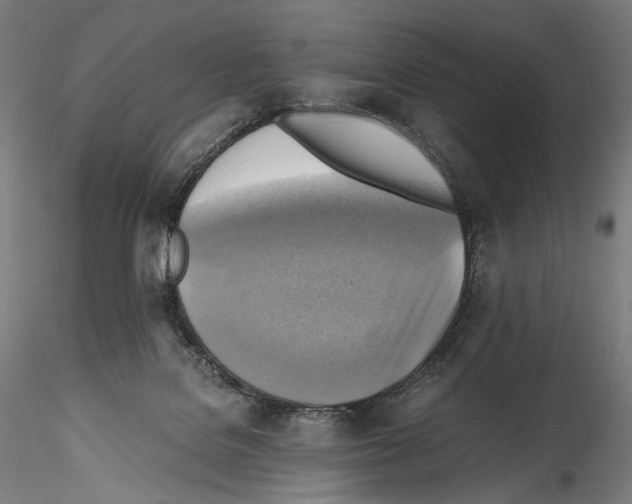 X0000114560076200911301258