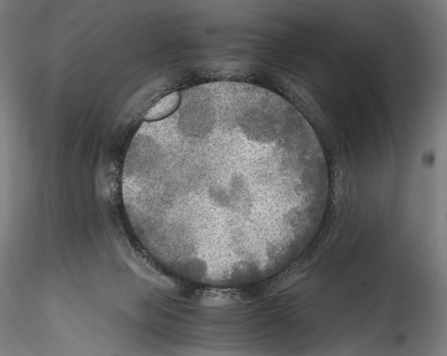 X0000114560077200911301258