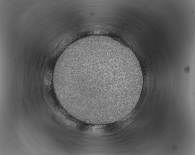 X0000114560078200911301258