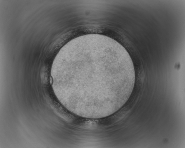 X0000114560080200911301258
