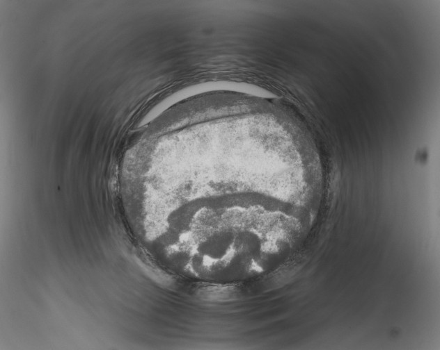 X0000114560081200911301258