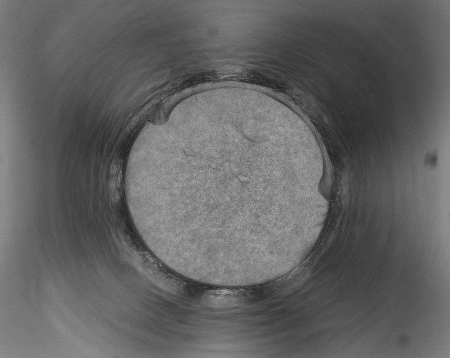 X0000114560082200911301258
