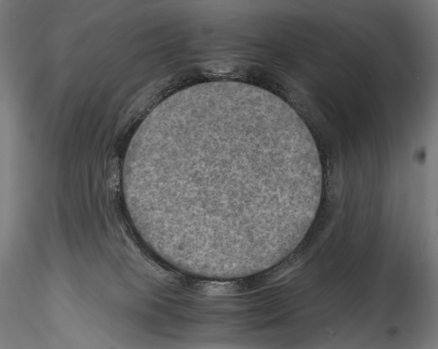 X0000114560085200911301258