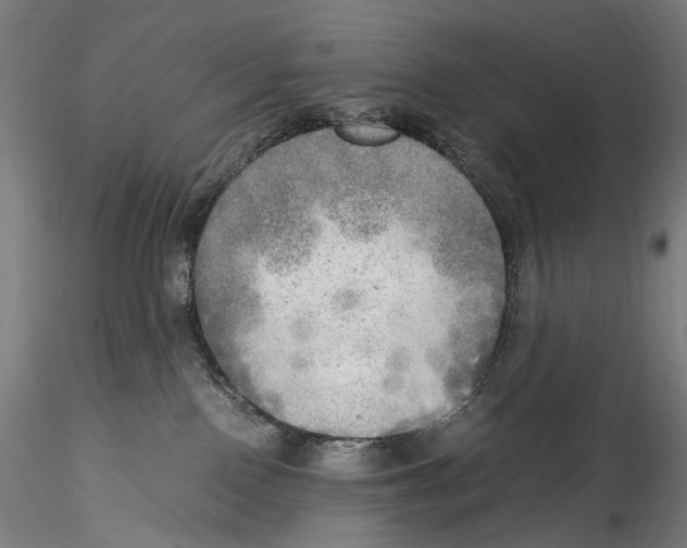 X0000114560090200911301258