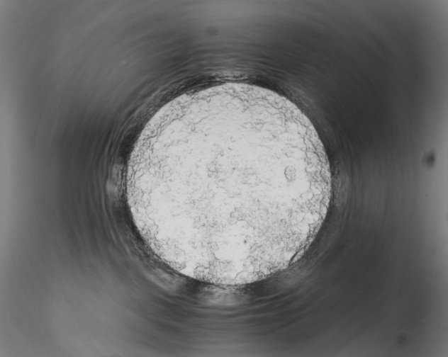 X0000114560093200911301258