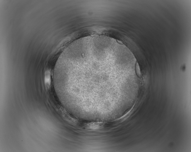 X0000114560094200911301258