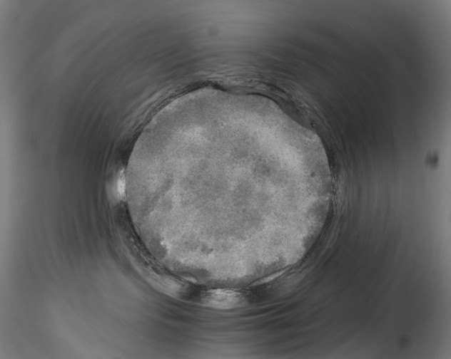 X0000114560095200911301258