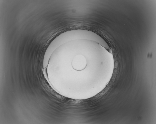 X0000114560096200911301258