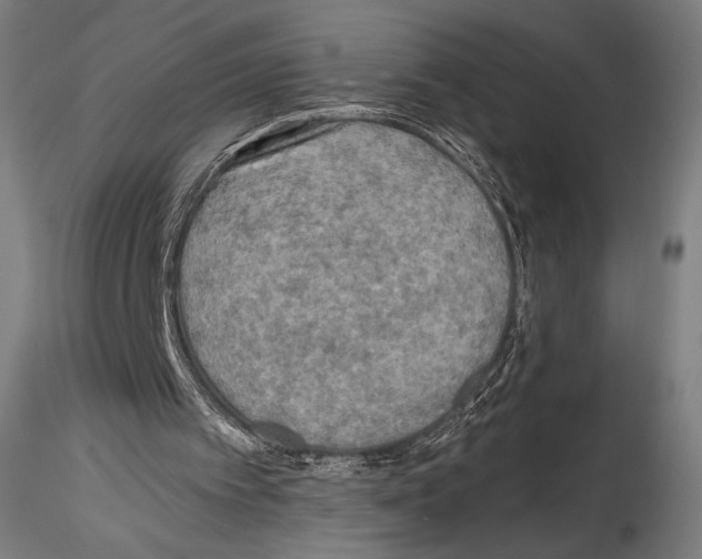 X0000114560097200911301258