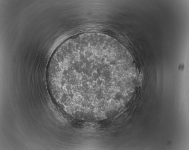 X0000114560099200911301258