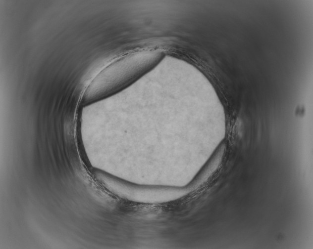 X0000114560100200911301258