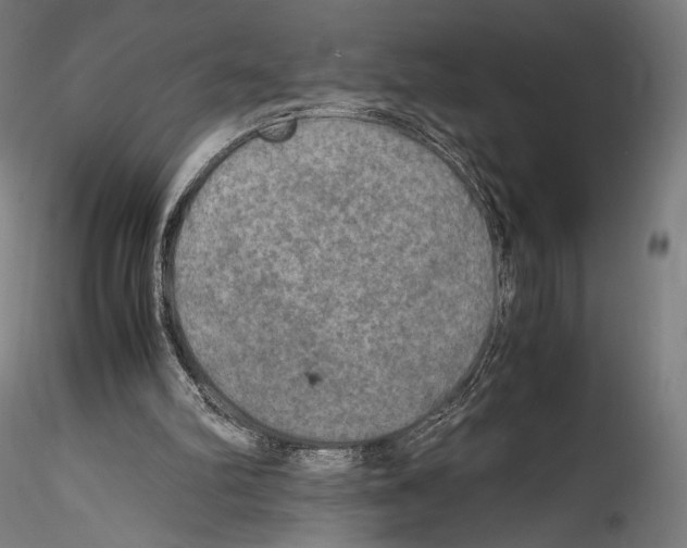 X0000114560102200911301258