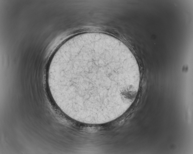 X0000114560103200911301258