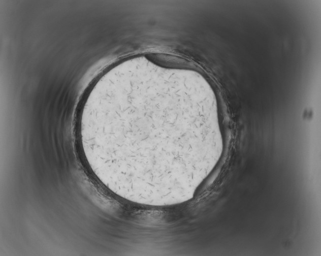 X0000114560104200911301258