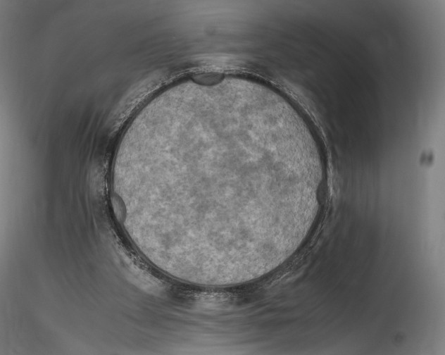 X0000114560105200911301258