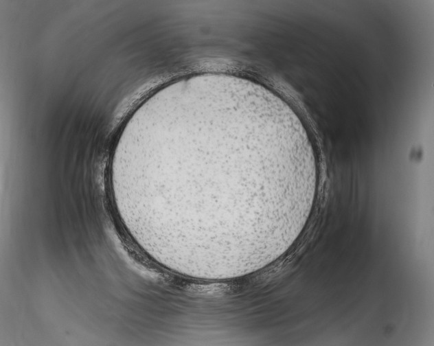 X0000114560106200911301258