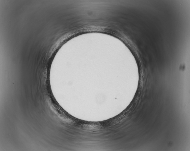 X0000114560107200911301257