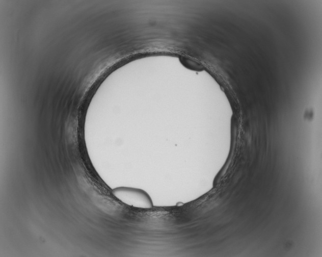 X0000114560108200911301257