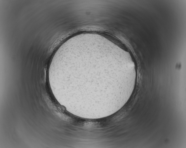 X0000114560109200911301257